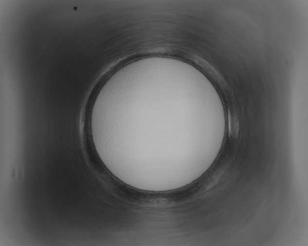 X0000100360483200806271427