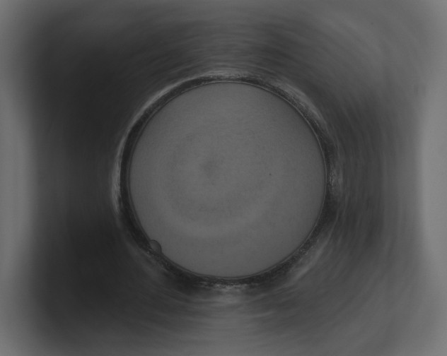 X0000100360484200806271427