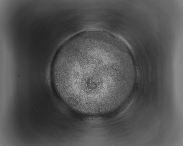 X0000100360487200806271426