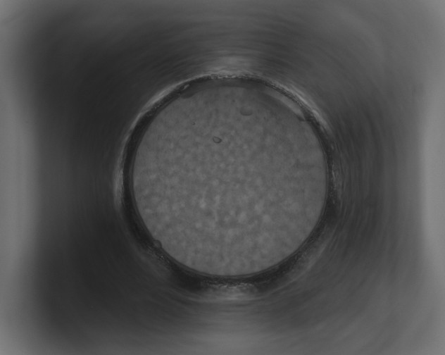 X0000100360488200806271426