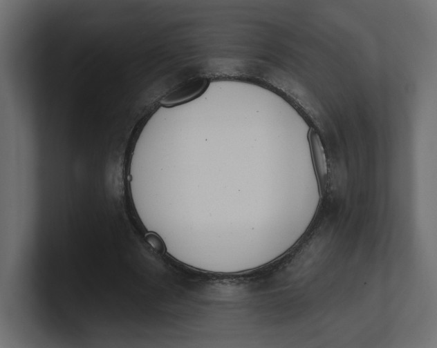 X0000100360489200806271426