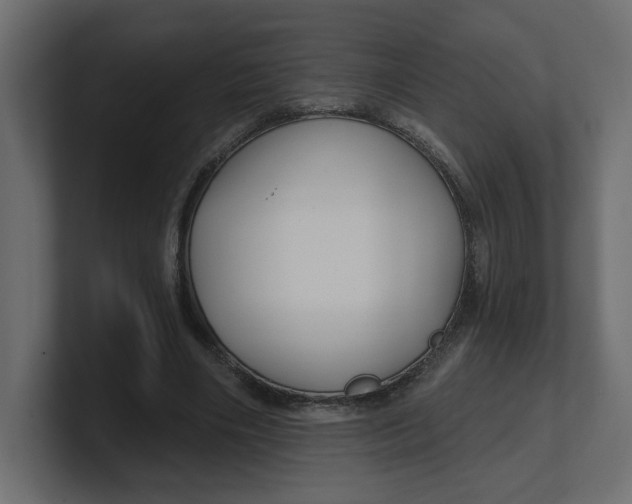 X0000100360490200806271426