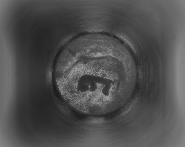 X0000100360491200806271426