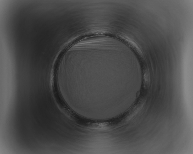 X0000100360492200806271426