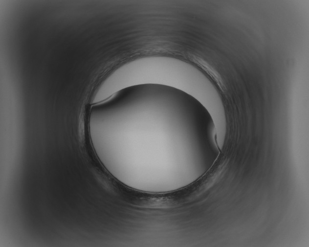 X0000100360493200806271426