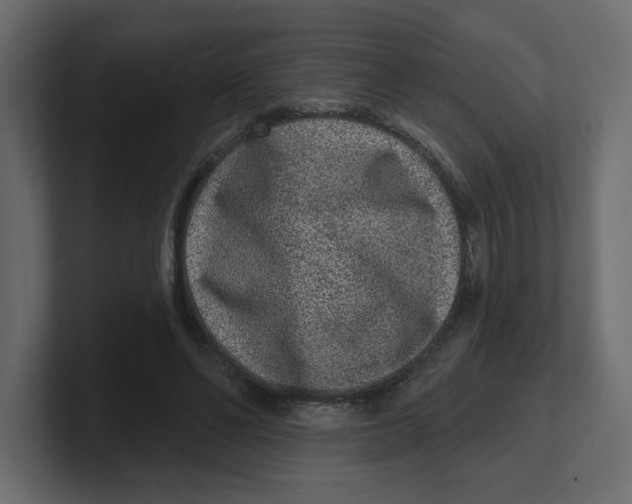 X0000100360494200806271426