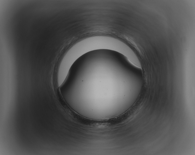 X0000100360495200806271426