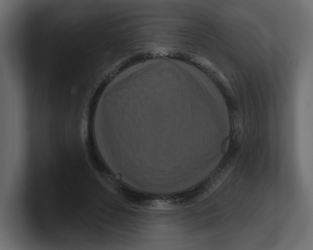 X0000100360496200806271426