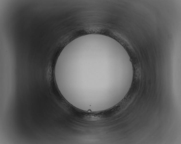 X0000100360498200806271426