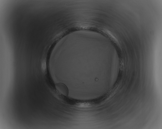 X0000100360500200806271426