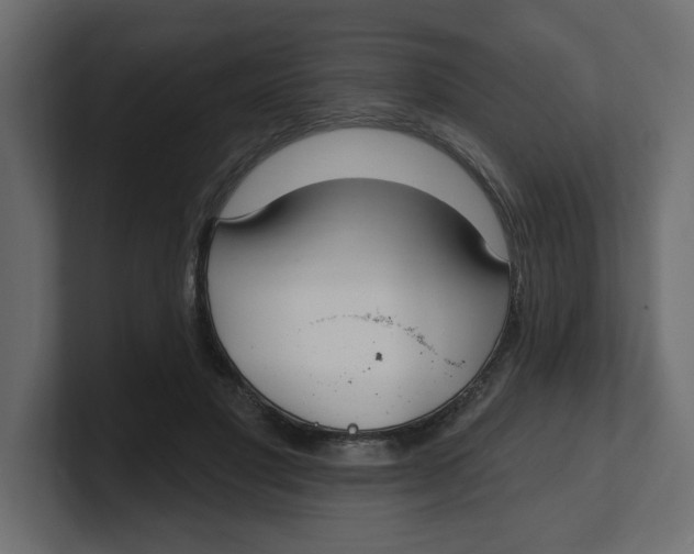 X0000100360501200806271426