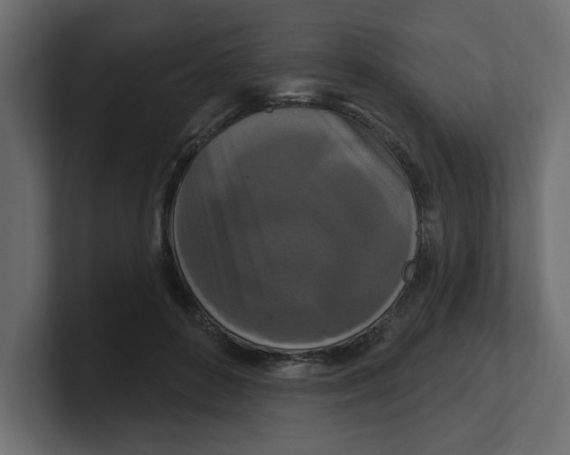 X0000100360504200806271426