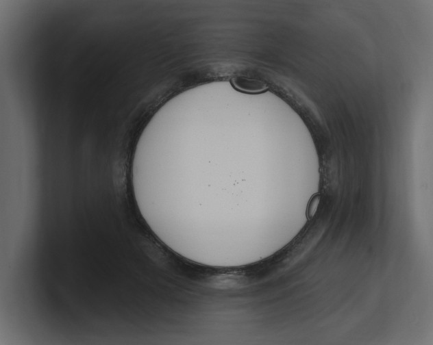 X0000100360505200806271426