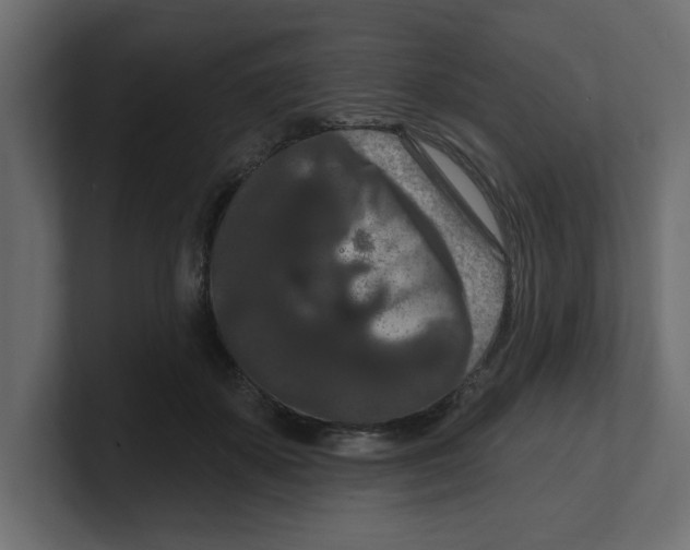 X0000100360507200806271426