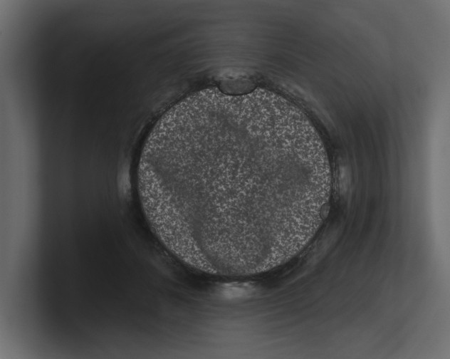 X0000100360508200806271426