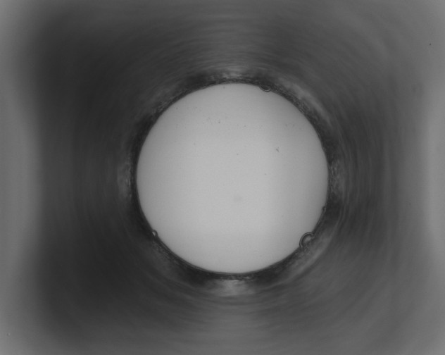 X0000100360509200806271426