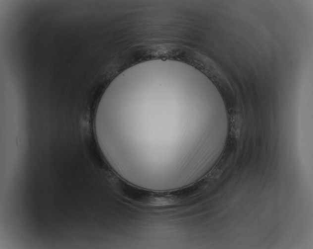 X0000100360510200806271426