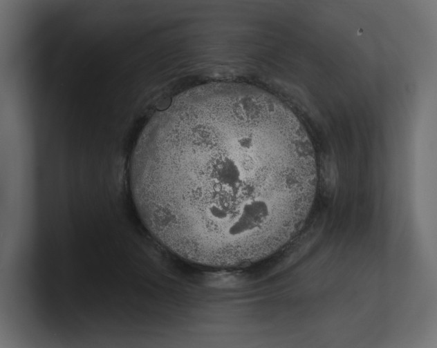 X0000100360511200806271426