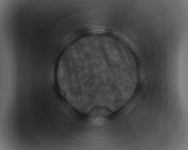 X0000100360512200806271426