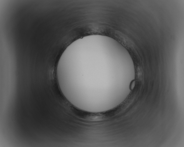 X0000100360514200806271426