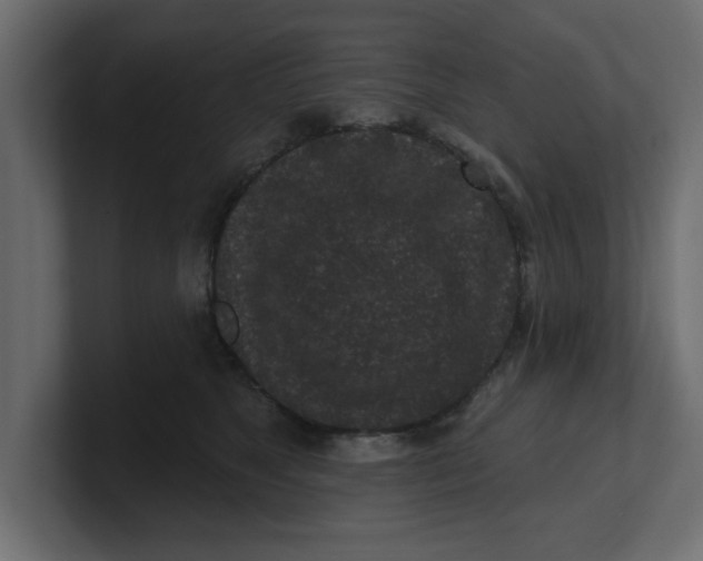 X0000100360517200806271426