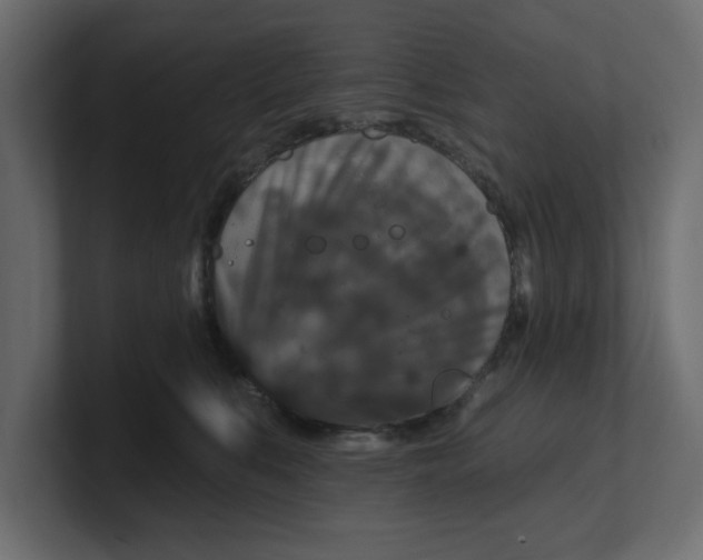 X0000100360519200806271426