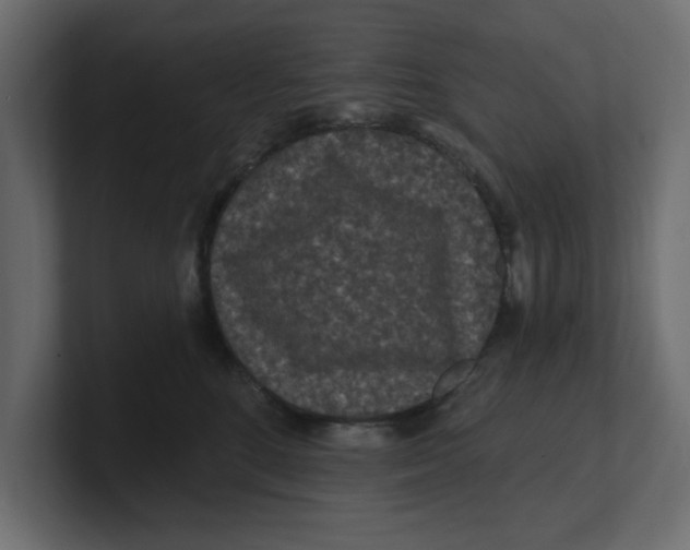 X0000100360520200806271426