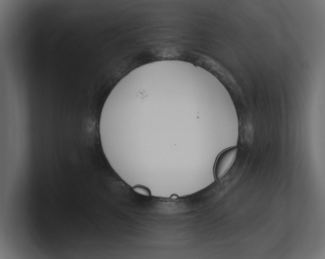 X0000100360521200806271426