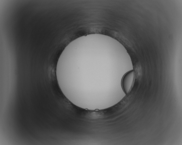 X0000100360522200806271426