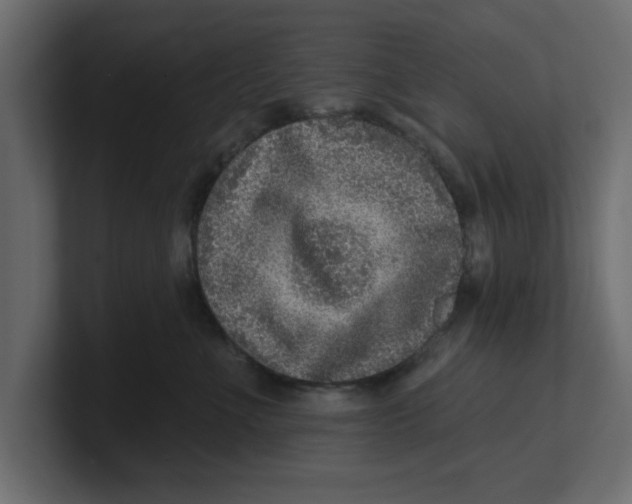 X0000100360523200806271426