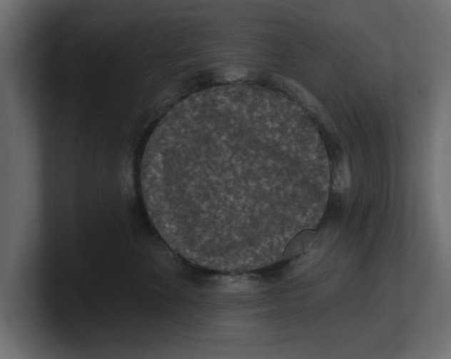 X0000100360524200806271426