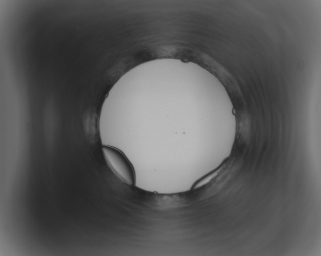 X0000100360525200806271426