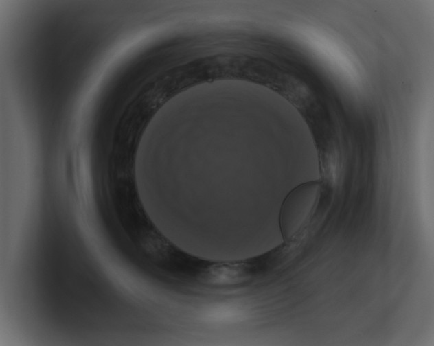 X0000100360526200806271426