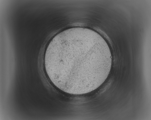 X0000100360529200806271425