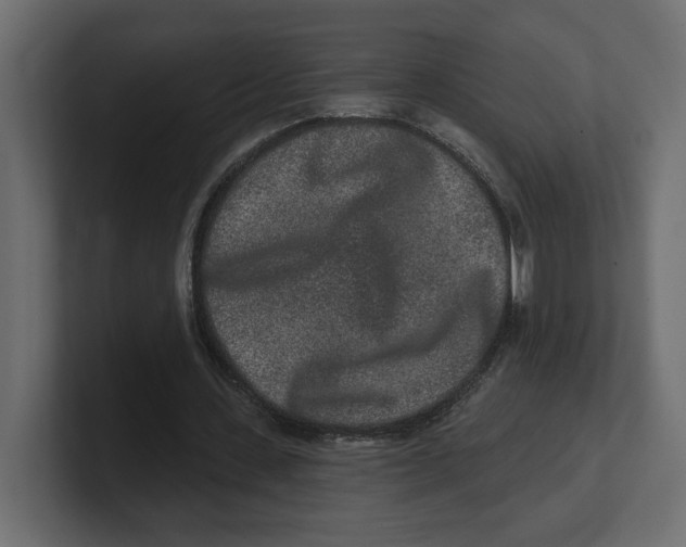 X0000100360531200806271425