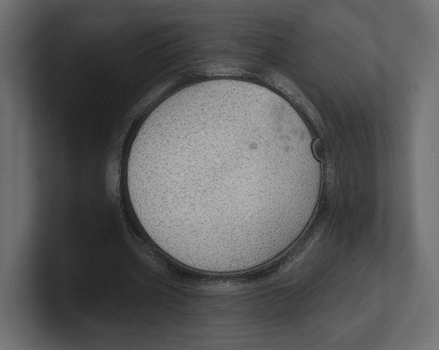 X0000100360533200806271425