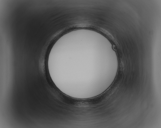 X0000100360535200806271425