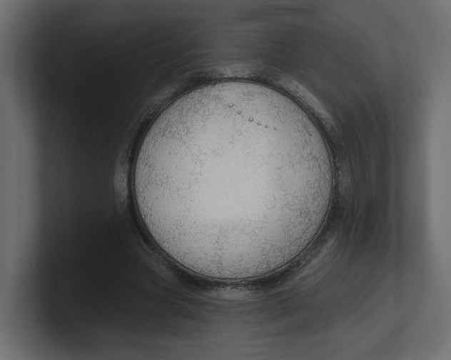 X0000100360537200806271425