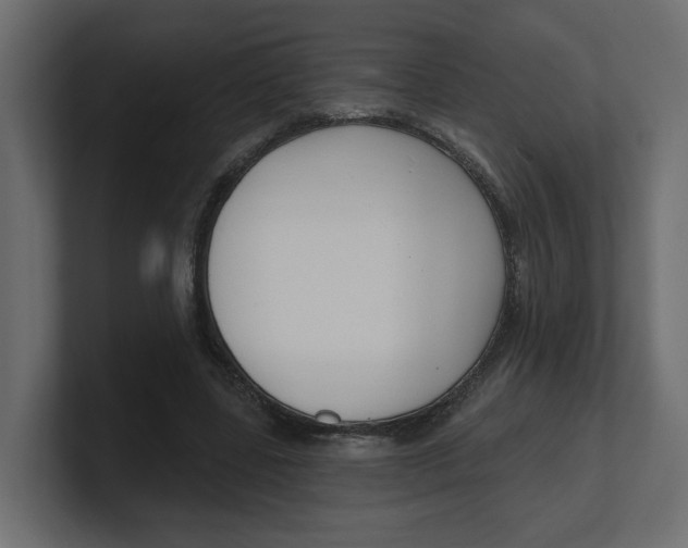 X0000100360539200806271425