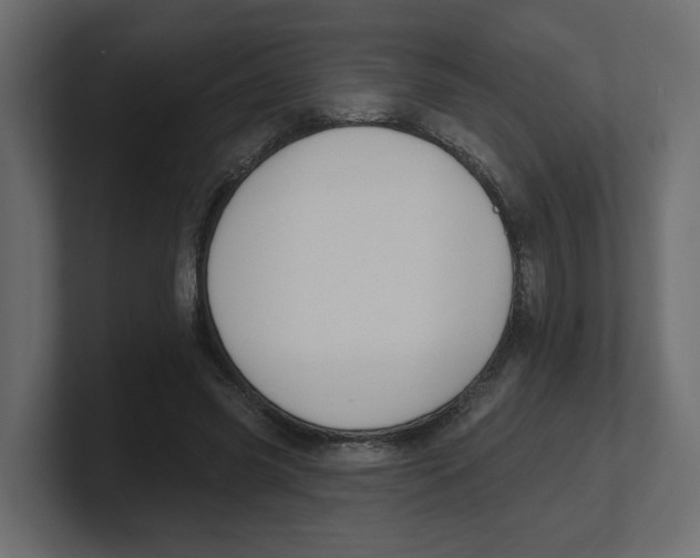 X0000100360541200806271425