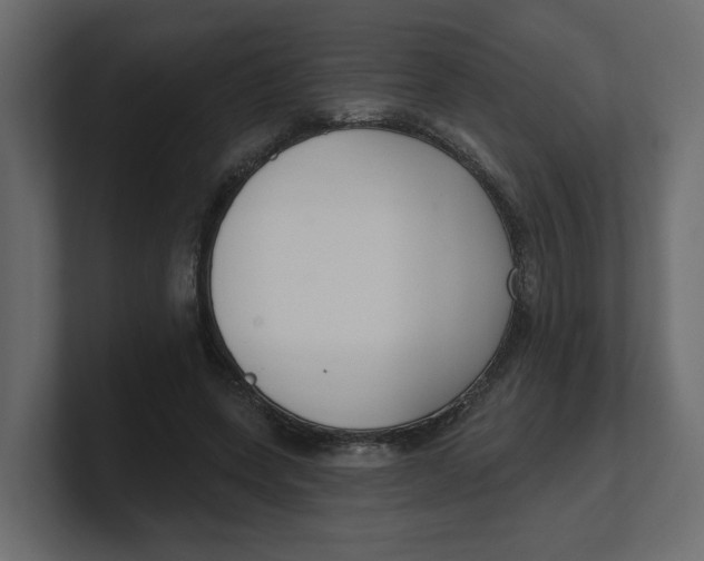 X0000100360543200806271425