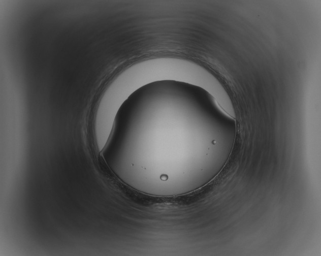 X0000100360544200806271426