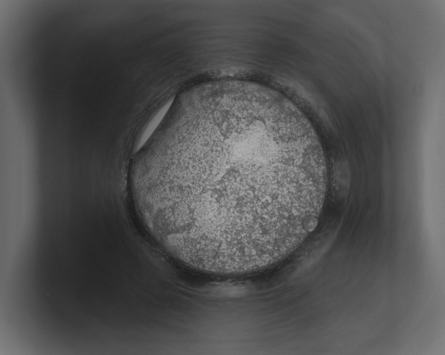 X0000100360545200806271426