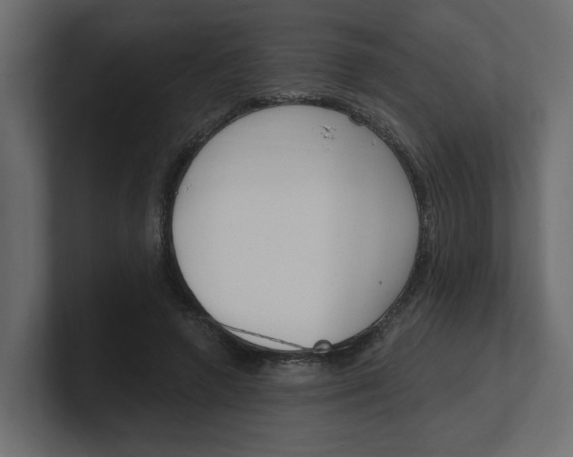 X0000100360546200806271426