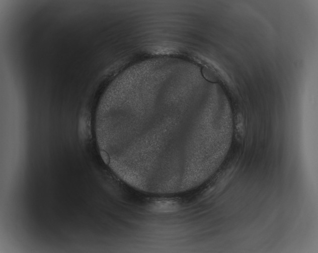 X0000100360547200806271426