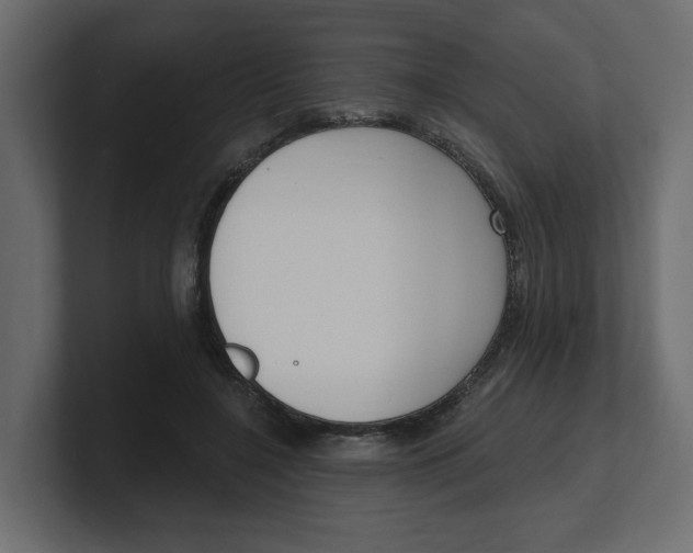 X0000100360548200806271426