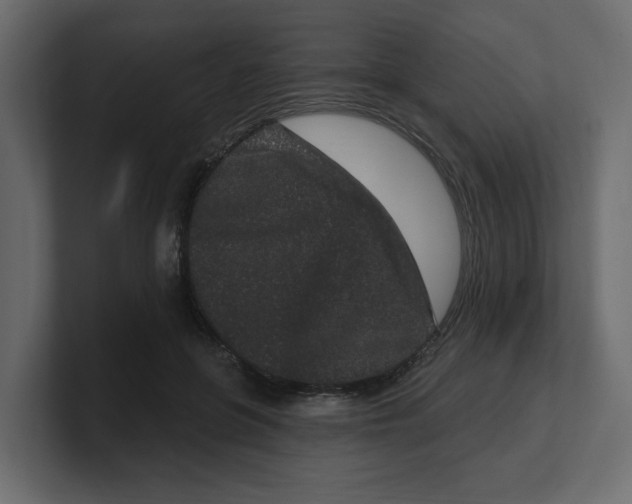 X0000100360551200806271426