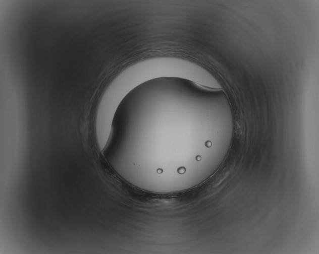 X0000100360552200806271426