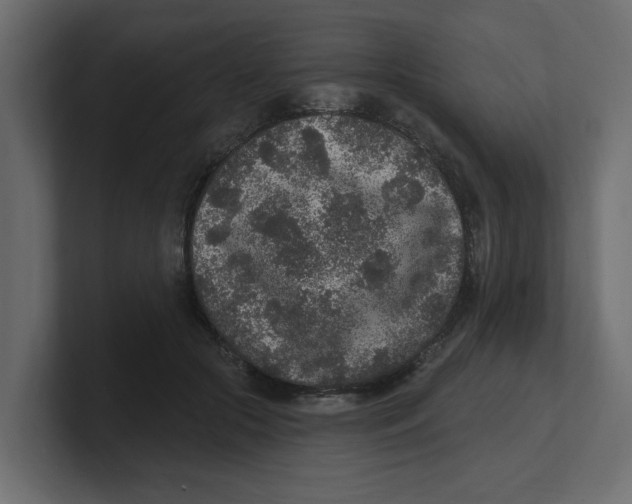 X0000100360553200806271426