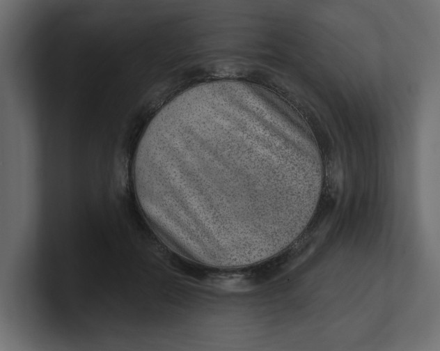 X0000100360554200806271426